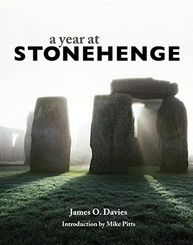 Beispielbild fr A Year at Stonehenge zum Verkauf von ThriftBooks-Dallas