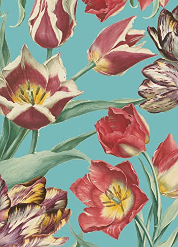 9780711235694: RHS Tulips Boxed Notecards