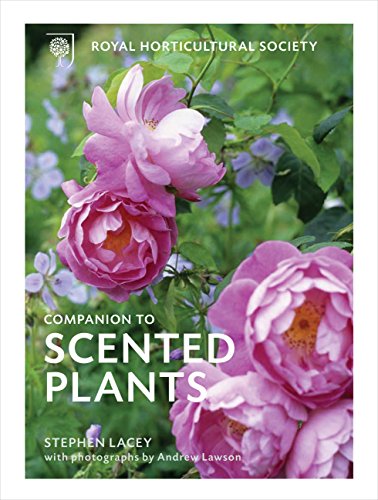 Beispielbild fr The RHS Companion to Scented Plants zum Verkauf von AwesomeBooks