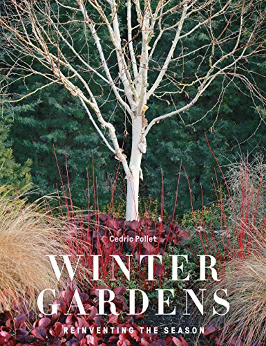 Beispielbild fr Winter Gardens: Reinventing the Season zum Verkauf von BooksRun
