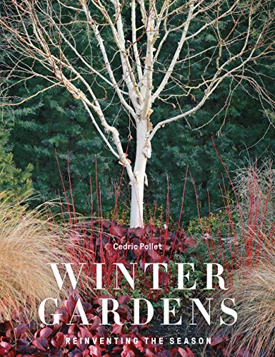 Stock image for Winter Gardens: Reinventing the Season for sale by BooksRun