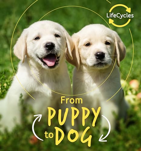 9780711243668: From Puppy to Dog (Life Cycles)