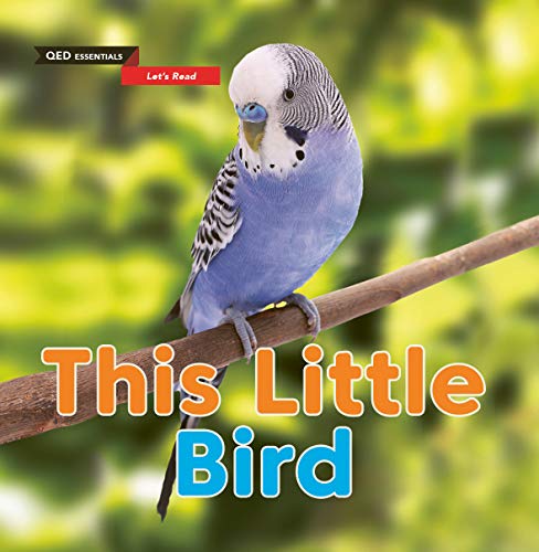 Imagen de archivo de Let's Read: This Little Bird: 1 (QED Essentials) a la venta por WorldofBooks