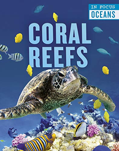 Beispielbild fr Coral Reefs zum Verkauf von Buchpark