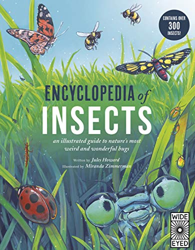 Stock image for Encyclopedia of Insects for sale by Blackwell's