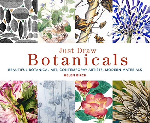 Stock image for Just Draw Botanicals : Beautiful Botanical Art, Contemporary Artists, Modern Materials for sale by Better World Books: West