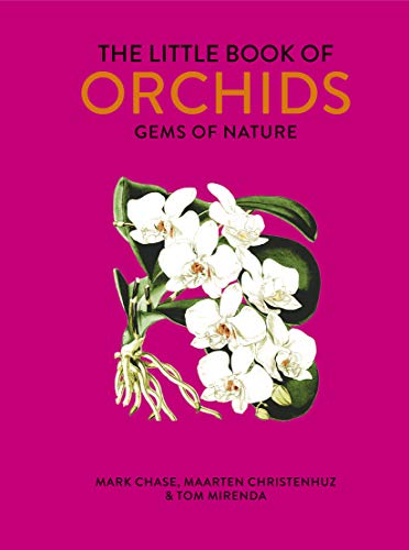 Beispielbild fr Little Book of Orchids zum Verkauf von HPB-Blue