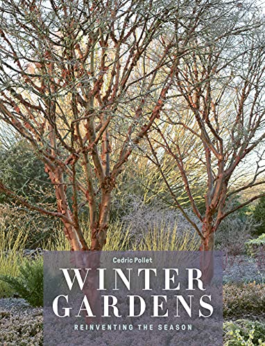 Stock image for Winter Gardens: Reinventing the Season for sale by PlumCircle