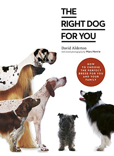 Stock image for The Right Dog for You: How to choose the perfect breed for you and your family for sale by World of Books (was SecondSale)