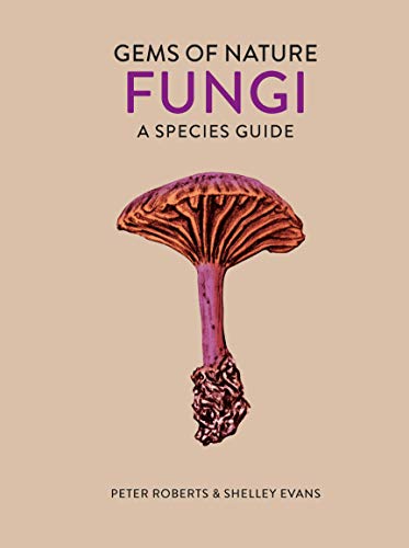 Beispielbild fr Fungi zum Verkauf von Blackwell's