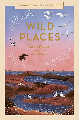 Stock image for Wild Places (Volume 6) (Inspired Traveller's Guides, 6) for sale by PlumCircle