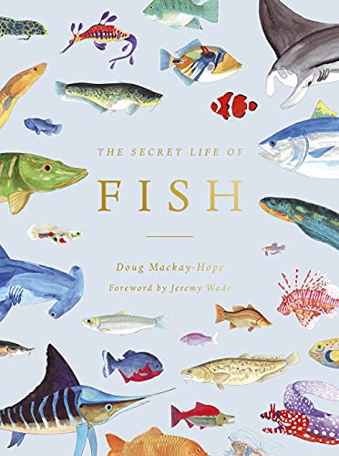 Imagen de archivo de The Secret Life of Fish a la venta por BookOutlet