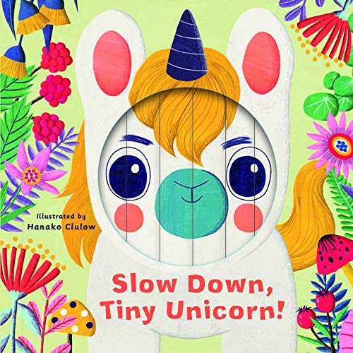 Stock image for Little Faces: Slow Down, Tiny Unicorn! for sale by Better World Books