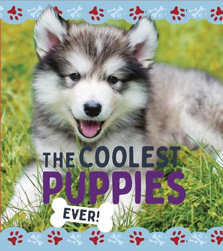 Stock image for The Coolest Puppies Format: Library Bound for sale by INDOO