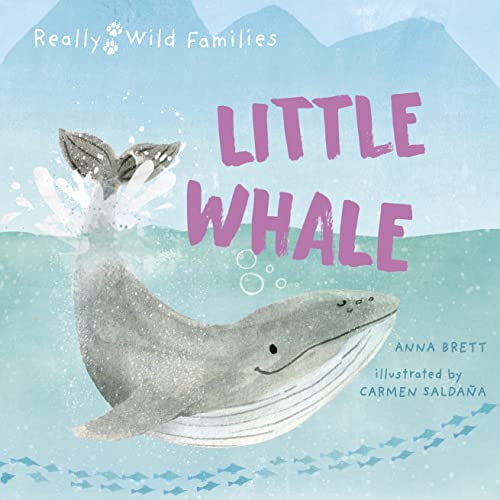 9780711283541: Little Whale: A Day in the Life of a Whale Calf (Really Wild Families)