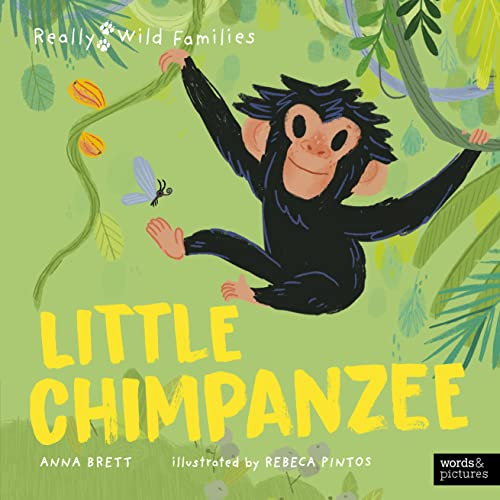 Stock image for Little Chimpanzee: A Day in the Life of a Baby Chimp (Really Wild Families) for sale by WorldofBooks