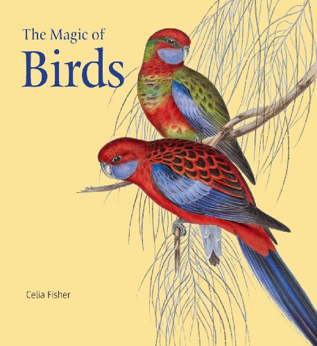 Beispielbild fr The Magic of Birds zum Verkauf von WorldofBooks