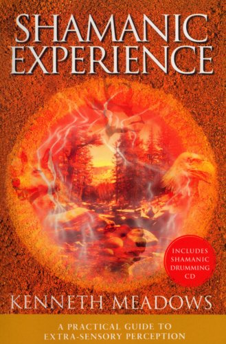Beispielbild fr Shamanic Experience zum Verkauf von WorldofBooks