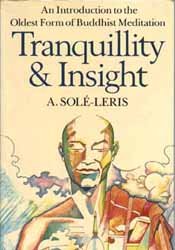 Stock image for Tranquillity & Insight: An Introduction to the Oldest Form of Buddhist Meditation for sale by ThriftBooks-Atlanta