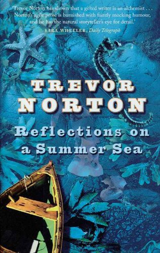 Stock image for Reflections On A Summer Sea for sale by WorldofBooks