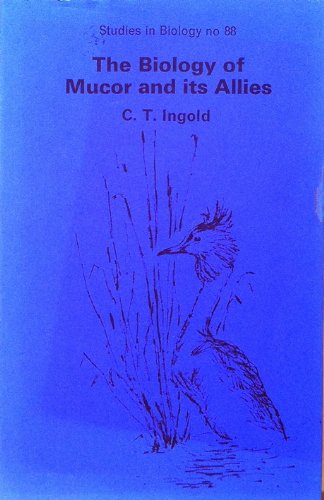 9780713126792: Biology of Mucor and Its Allies (Studies in Biology)