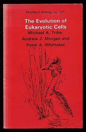 Stock image for The Evolution of Eukaryotic Cells (Studies in Biology) for sale by medimops