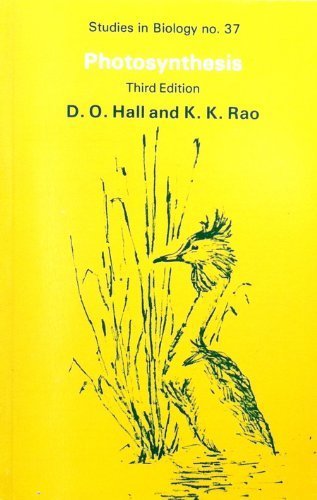 Beispielbild fr Photosynthesis (Studies in Biology) zum Verkauf von Reuseabook