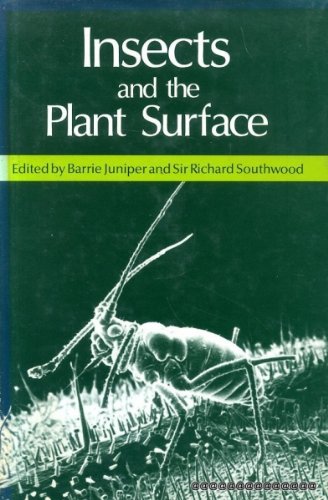 Stock image for Insects and the plant surface for sale by ThriftBooks-Dallas