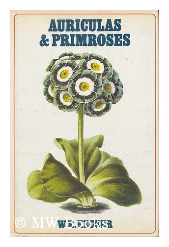 Auriculas and Primroses