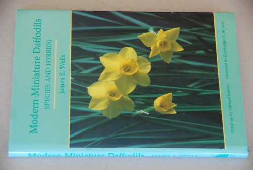 Stock image for Modern Miniature Daffodils : Species and Hybrids for sale by Powell's Bookstores Chicago, ABAA