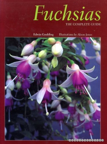 9780713469486: Fuchsias: The Complete Guide