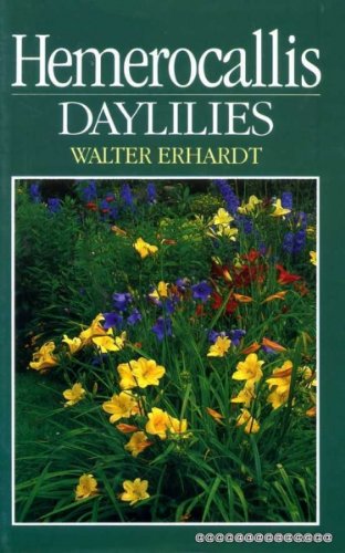 Imagen de archivo de Hemerocallis Day Lilies. a la venta por Elaine Beardsell