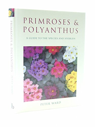 Stock image for Primroses Polyanthus : A Guide to the Species and Hybrids for sale by Front Cover Books