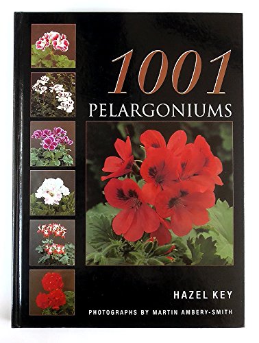 Stock image for 1001 Pelargoniums for sale by GF Books, Inc.