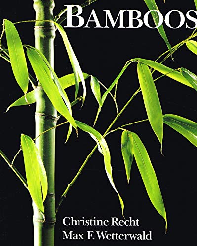 9780713487145: Bamboos