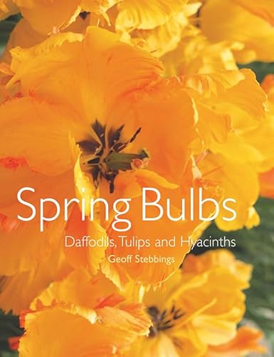 Spring Bulbs - Daffodils, Tulips and Hyacinths