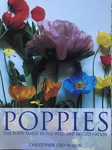 Beispielbild fr Poppies: The Poppy Family in the Wild and in Cultivation: Revised and Updated Edition zum Verkauf von Spruce Gum Books