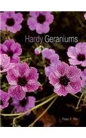 Stock image for HARDY GERANIUMS REVISED EDTN for sale by WorldofBooks