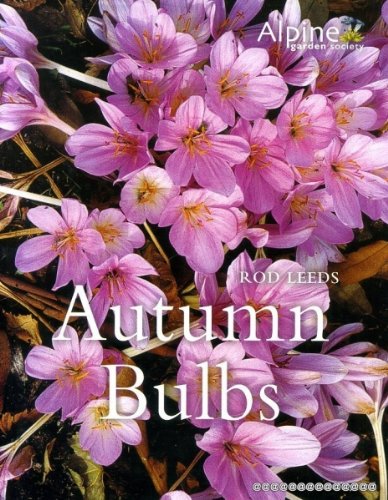 Stock image for Autumn Bulbs for sale by Better World Books