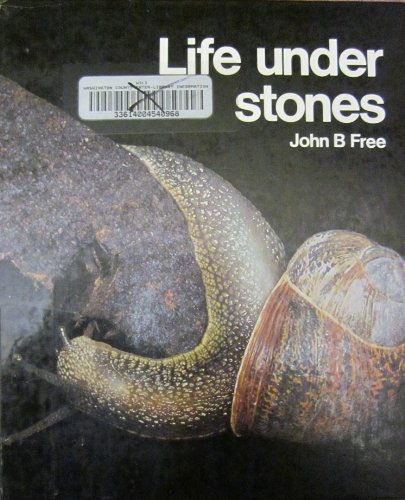 Stock image for Life Under Stones (Nature in Close-up) for sale by Phatpocket Limited