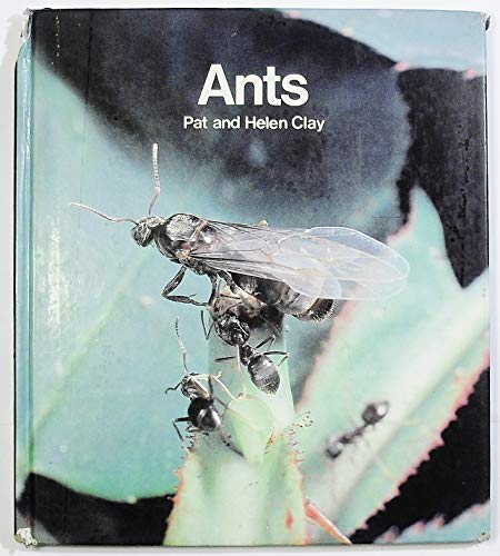 Ants (9780713623864) by Clay