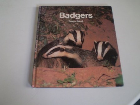 9780713623895: Badgers (Nature in close up)