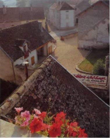 Imagen de archivo de Burgundy (Blue Guides) a la venta por WorldofBooks