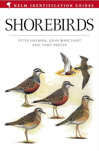 Beispielbild fr Shorebirds (Helm Field Guides) zum Verkauf von GF Books, Inc.