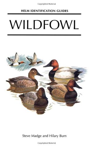 Beispielbild fr Wildfowl: An Identification Guide to the Ducks, Geese and Swans of the World (Helm Identification Guides) zum Verkauf von WorldofBooks