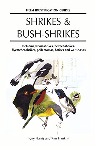 Beispielbild fr Shrikes and Bush-shrikes: Including Wood-shrikes, Helmet-shrikes, Shrike Flycatchers, Philentoemas, Batises and Wattle-eyes (Helm Identification Guides) zum Verkauf von Albion Books