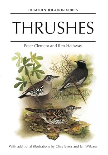 Imagen de archivo de Thrushes a la venta por David Ford Books PBFA