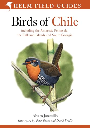 9780713646887: Birds of Chile: Including the Antartic Peninsular, the Falkland Islands and South Georgia (Helm Field Guides)