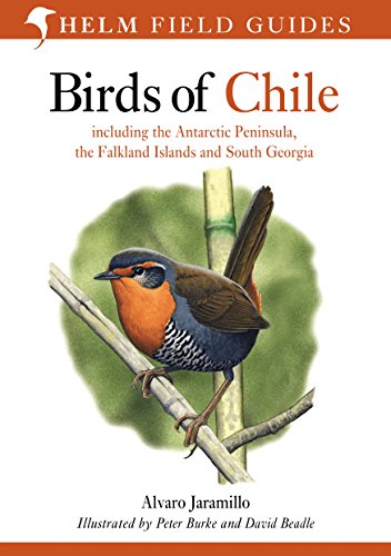 Stock image for Birds of Chile: Including the Antarctic Peninsula, the Falkland Islands and South Georgia (Helm Field Guides) for sale by WorldofBooks