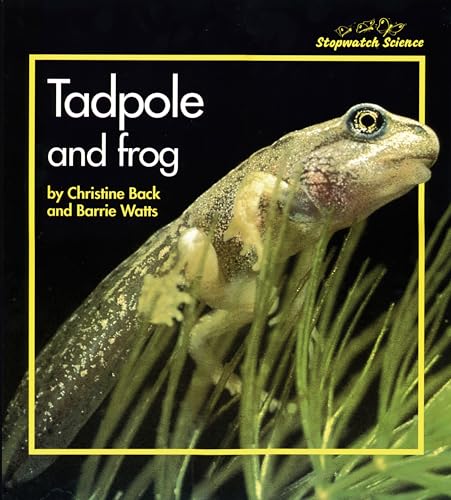 Stock image for Stopwatch: Tadpole and Frog Big Book (Stopwatch) for sale by dsmbooks